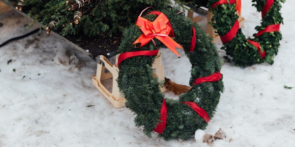 Julkransar med röda band står lutade i snön