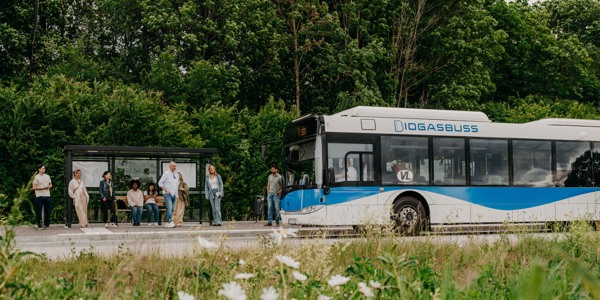 En buss i sommarmiljö som stannat vid en hållplats där människor i olika åldrar väntar